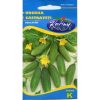 Uborka Delicatess 2g RÉDEI