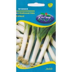 Póréhagyma Winner 1g RÉDEI