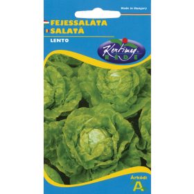 Fejessaláta Lento 2g RÉDEI