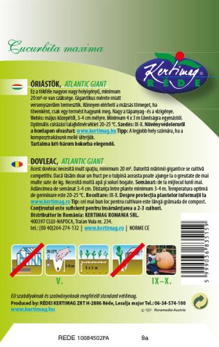 Sütőtök Atlantic Giant 6 szem RÉDEI