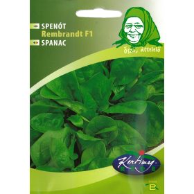 Spenót Rembrandt F1 3g RÉDEI
