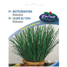 Metélőhagyma Bohemia (Városi kertész) 3g RÉDEI