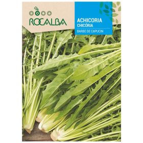 Cikóriasaláta Barbe de Capucin 10g ROCALBA