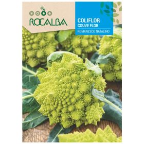 Csúcsos Karfiol Romanesco 8g ROCALBA