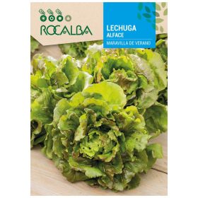 Jégsaláta Maravilla de Verano 6g ROCALBA