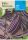 Bab Amethyst (lila) 30g ROCALBA