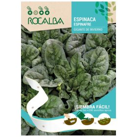 Vetőszalag Spenót Gigante de Invierno 200 szem/5m ROCALBA