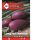 Sonkahagyma Long red Florence 2g ZKI