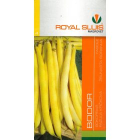 Bokorbab Bodor 65g ZKI