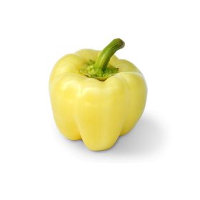 Paprika Apolló F1 500 szem ZKI-P