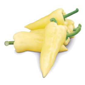 Paprika Carma F1 1000 szem ZKI-P
