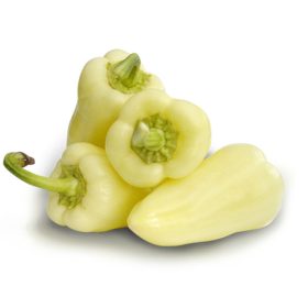 Paprika Century F1 500 szem ZKI-P