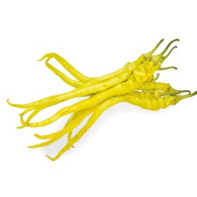 Paprika Csípős Spirál F1 5000 szem ZKI-P