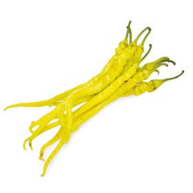 Paprika Édes Spirál F1 5000 szem ZKI-P