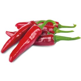 Fűszerpaprika (Édes) Fonó F1 1000 szem ZKI-P
