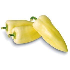 Paprika Gidran F1 500 szem ZKI-P