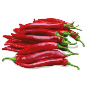 Fűszerpaprika (Csípős) Hírös F1 10000 szem ZKI-P