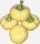 Almapaprika Nagykúti 1000 szem ZKI-P