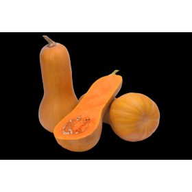 Sütőtök Orange 500 szem ZKI-P