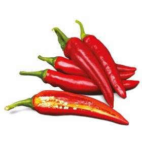 Fűszerpaprika (Édes) Palotás F1 10000 szem ZKI-P