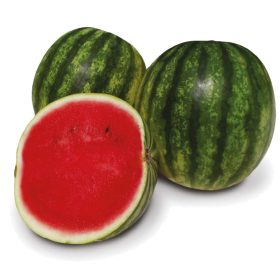 Görögdinnye Pluto F1 1000 szem ZKI-P
