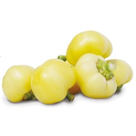 Almapaprika Regös F1 5000 szem ZKI-P