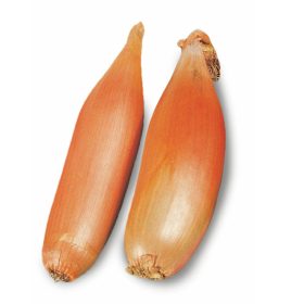 Vöröshagyma Sonkahagyma 10000 szem ZKI-P