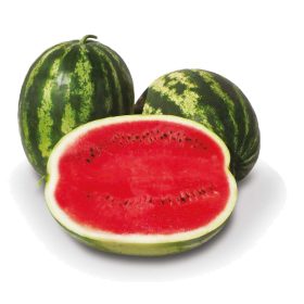 Görögdinnye Stabilo F1 1000 szem ZKI-P
