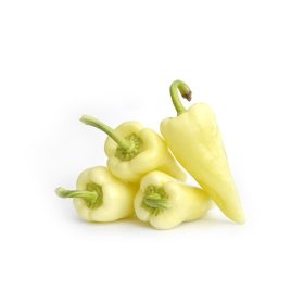 Paprika Syn. Cecei 1000 szem ZKI-P