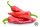 Fűszerpaprika (Csípős) Szikra F1 1000 szem ZKI-P