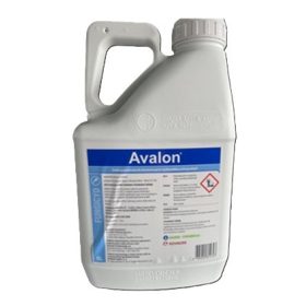 Avalon 5 literes kanna