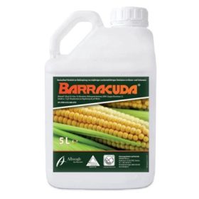 Barracuda 5 literes kanna