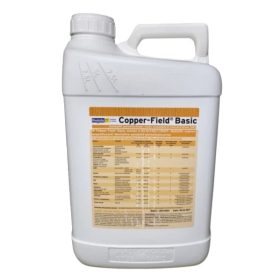 Copper Field Basic 10 literes kanna